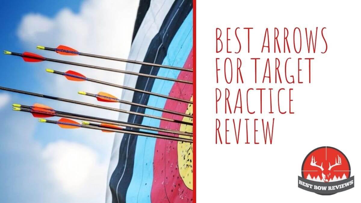 Best Arrows For Target Practice