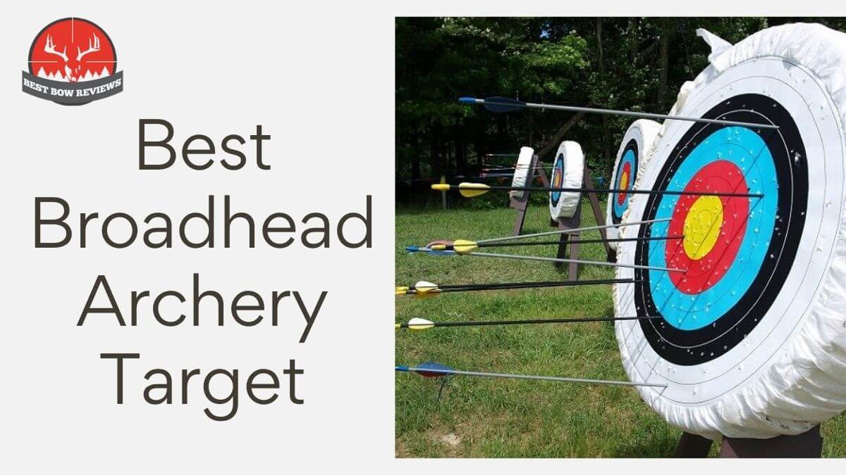 Best Broadhead Archery Target