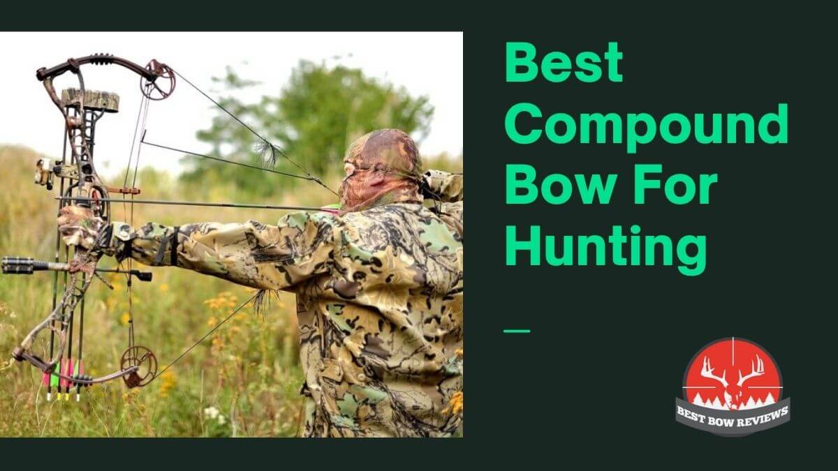 Best Compound Bow For Hunting