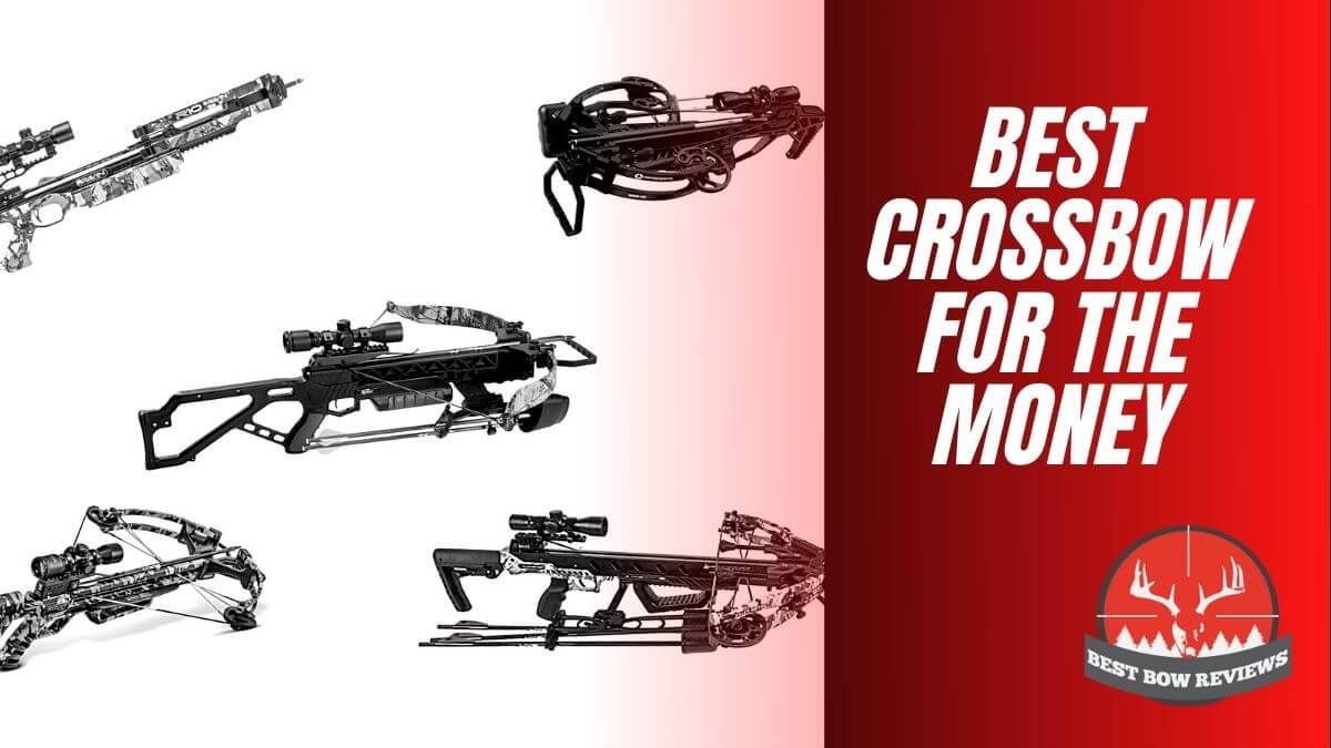 Best Crossbow for The Money