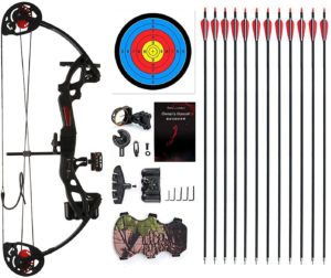 PANDARUS Compound Bow Archery for Youth and Beginner, Right/Left Handed With Archery Hunting Equipment